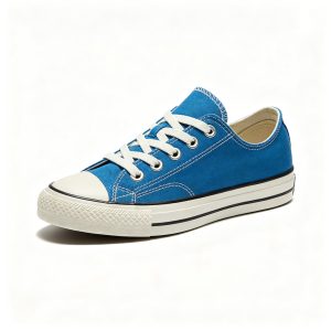BlueLow-Top Canvas Sneakers